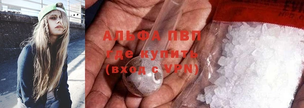 прущие грибы Белоозёрский
