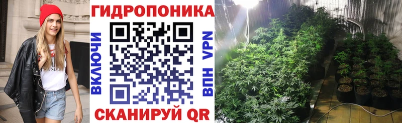 как найти закладки  Кодинск  Бошки Шишки VHQ 